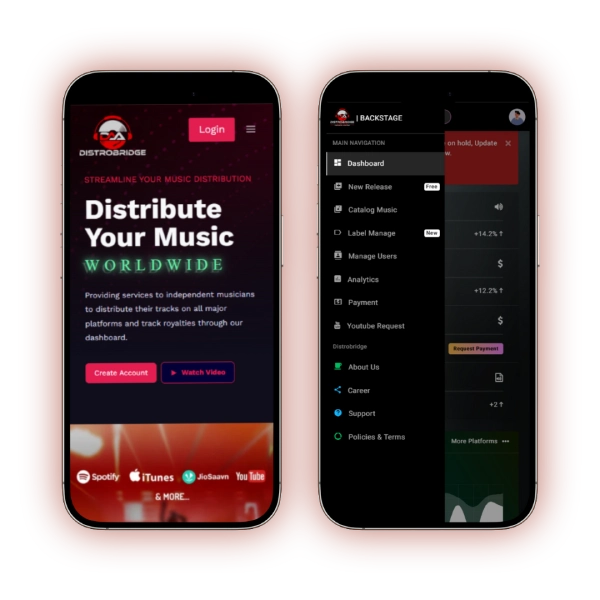 Music Distribution Platform Development itegrating 110+ streaming apps